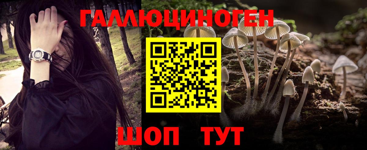 Галлюциногенные грибы ЛСД  Галлюциногенные грибы Psilocybe  Вход с VPN  Котовск 